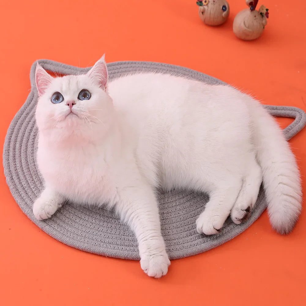 Cat Sleeping Summer Mat