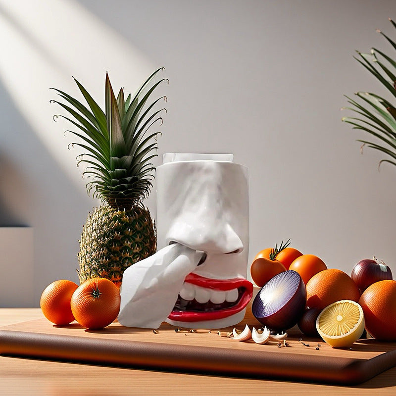 Funny Face Tissue Holder Quirky Mouth Nose Tissue Dispenser Novelty Tissue Box